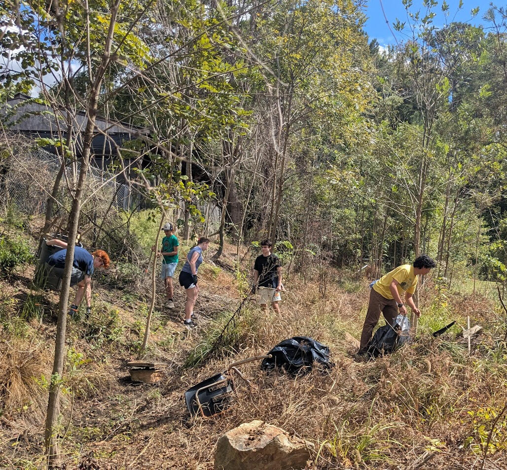 Park Restoration